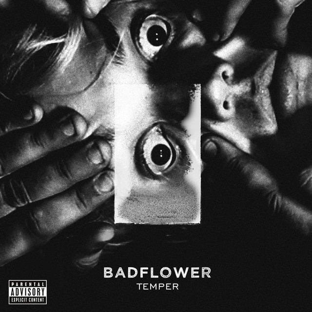 Temper cover