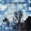 Celestial Bums Albumcover