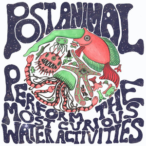 Perform the Most Curious Water Activities cover