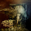 Parasite cover