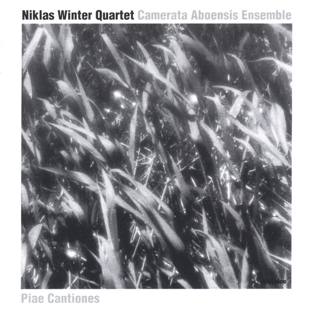Niklas Winter Quartet Photo