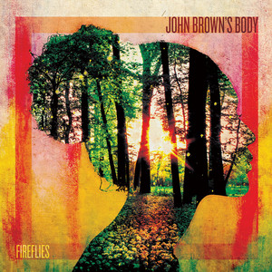 Fireflies cover
