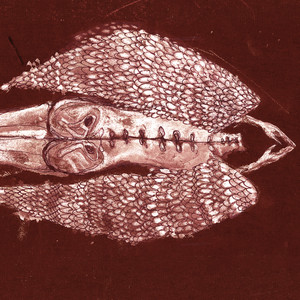 Homb cover