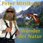 Wunder der Natur Albumcover