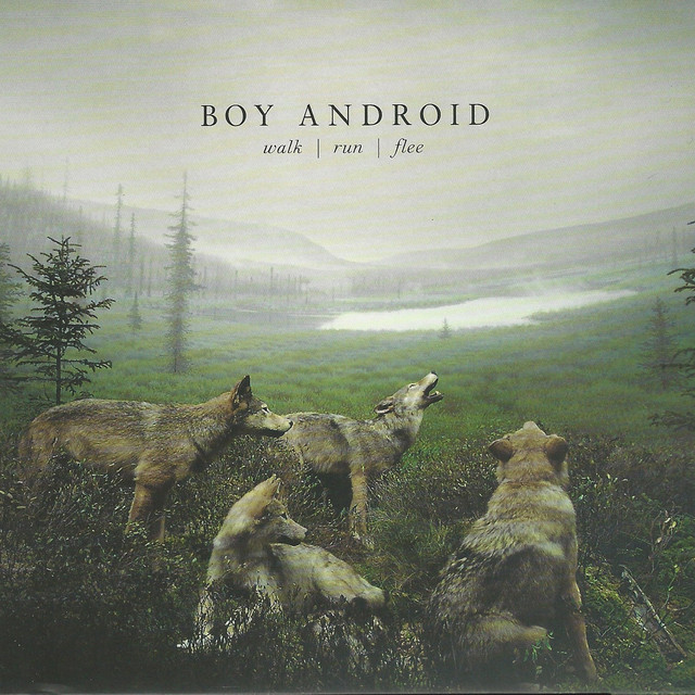 Boy Android Photo