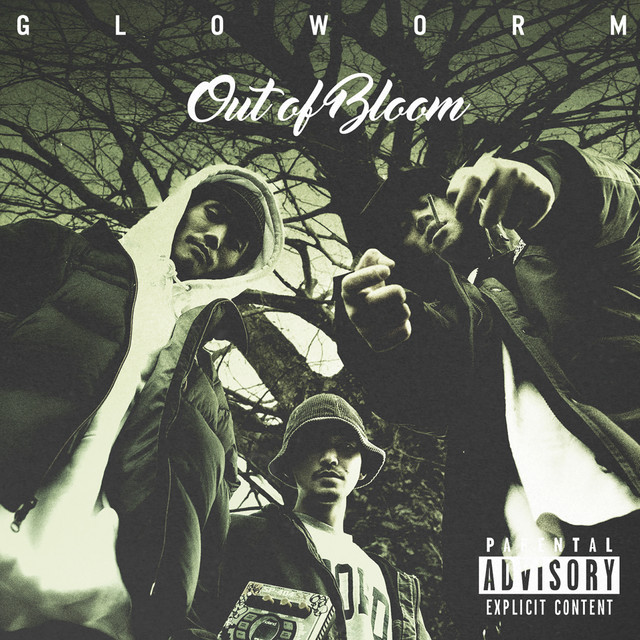 Gloworm Photo