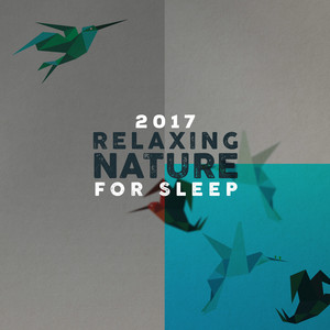 2017 Relaxing Nature for Sleep album