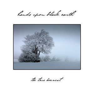The True Harvest cover