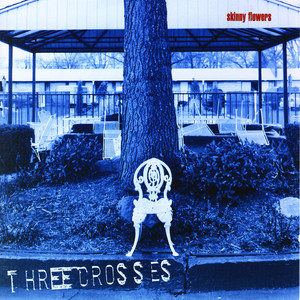 Skinny FLowers Albumcover