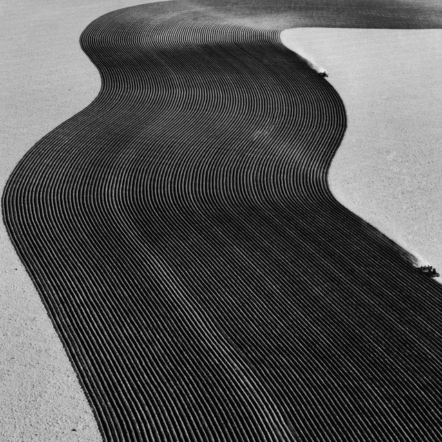 Rainer Veil photo