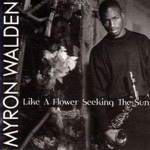 Like a Flower Seeking the Sun cover