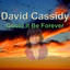 Could It Be Forever cover