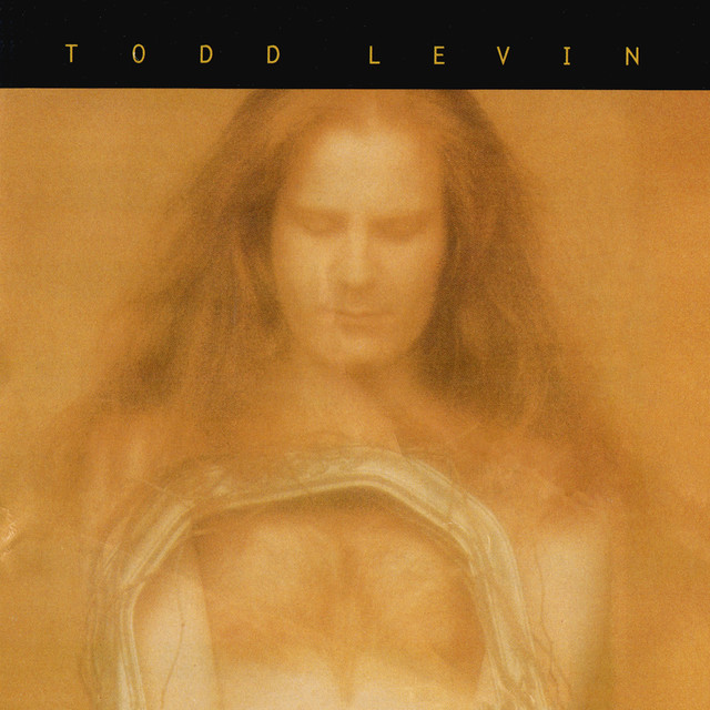Todd Levin photo