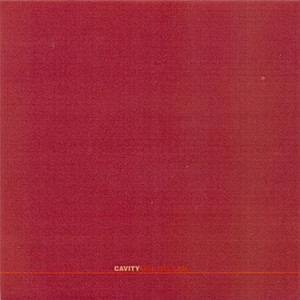 On the Lam cover