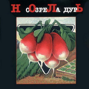 Созрела дурь cover