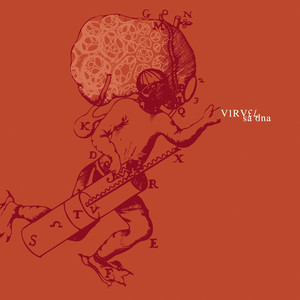 Brzi svemir cover