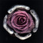 Beauty Keeps Laying Its Sharp Knife Against Me Albumcover