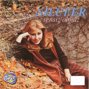 Sensiz Olmaz cover