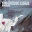 Yüreğimizdeki Ezgiler, Vol. 1 Albumcover