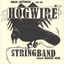 Brad Leftwich and the Hogwire Stringband