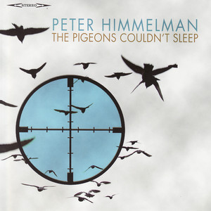 The Pigeons Couldn't Sleep cover