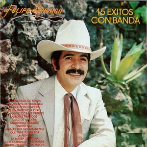 15 Exitos Con Banda Albumcover