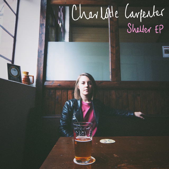 Shelter cover