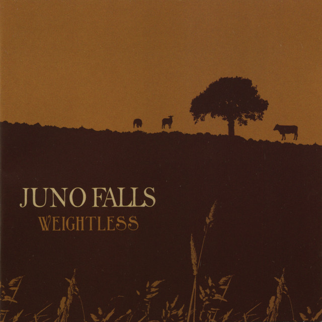 Juno Falls Photo