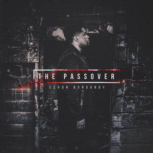 The Passover cover