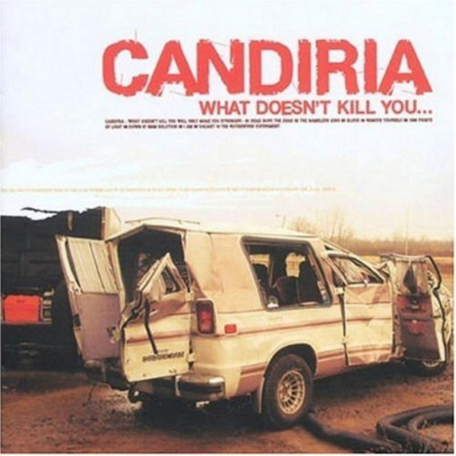 What Doesn't Kill You Will Make You Stronger cover