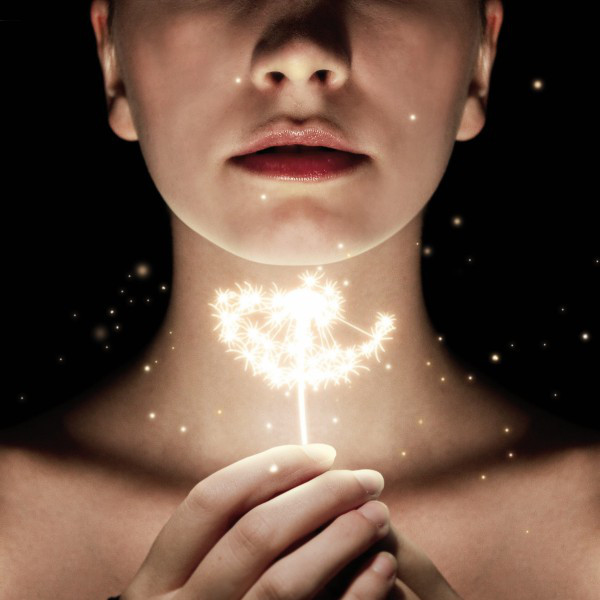 Set Alight Photo