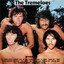 The Tremeloes cover