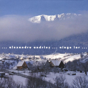 Ninge iar cover
