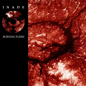 Burning Flesh cover