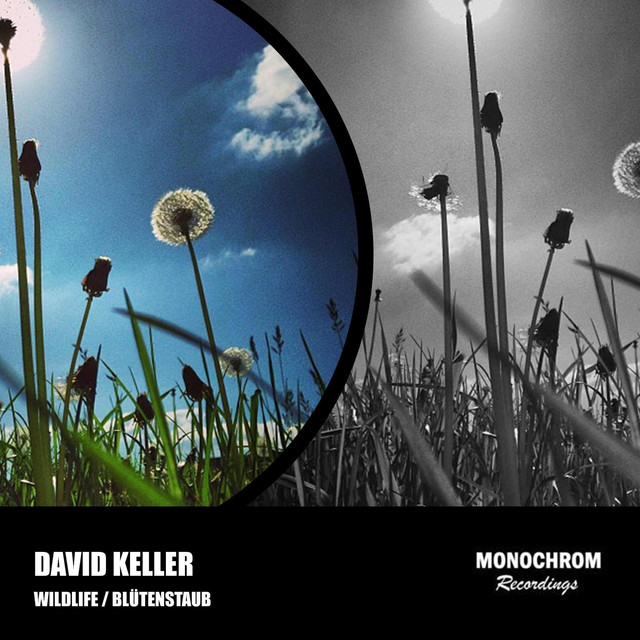David Keller Photo