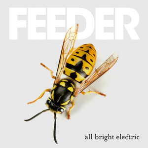 All Bright Electric (Deluxe) album