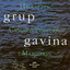 Grup Gavina