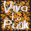 Viva La Punk! cover