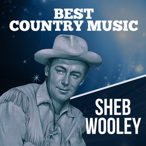 Best Country Music cover