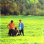 Green Fields Albumcover