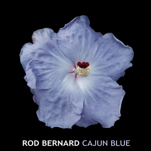 Cajun Blue album