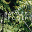 EP C/B EP cover