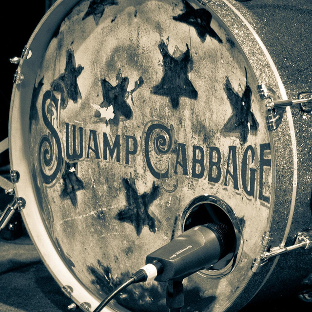 Swamp Cabbage photo