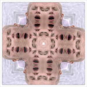 The Afterlife cover