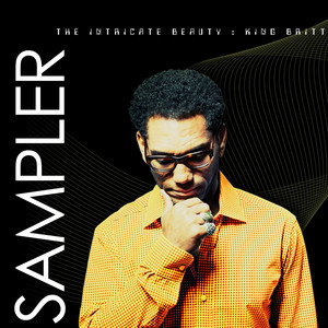 The Intricate Beauty SAMPLER album
