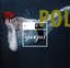 Polydistortion cover