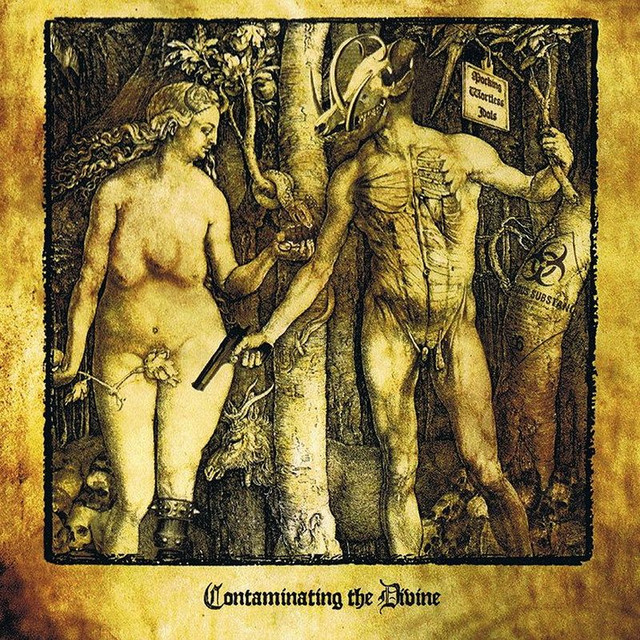 Contaminating The Divine cover