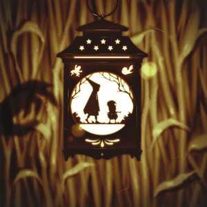 The Company cover