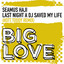Seamus Haji - Last night a DJ saved my life (Hot Toddy Remix) - Nu Disco