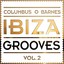 Ibiza Grooves Vol. 2 Albumcover
